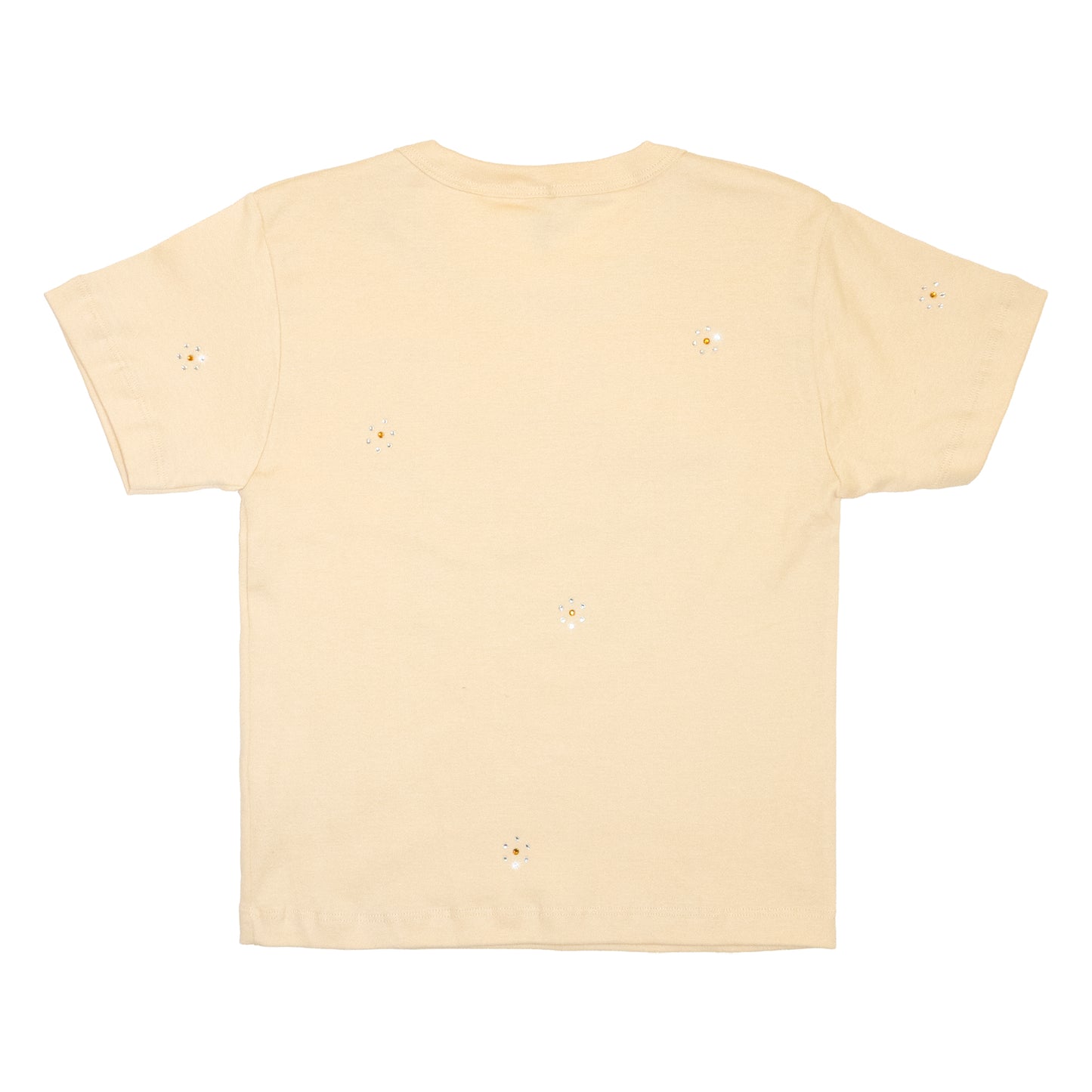 Borrego Springs Varsity Tee